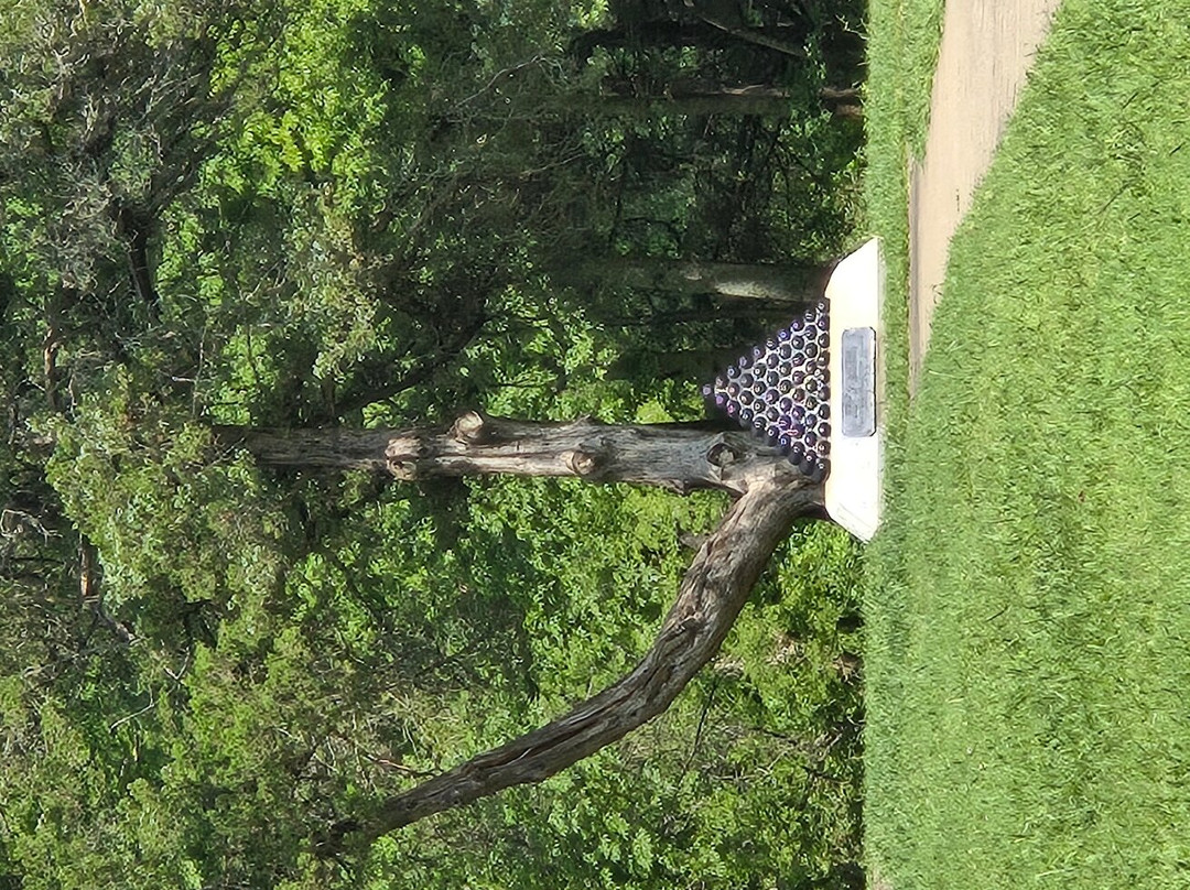 Stones River National Cemetery-默弗里斯伯勒必去景点