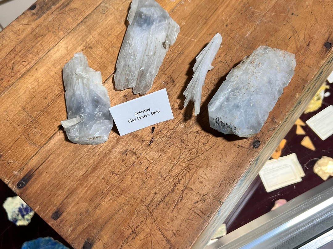 Missouri Institute of Natural Science-斯普林菲尔德必去景点