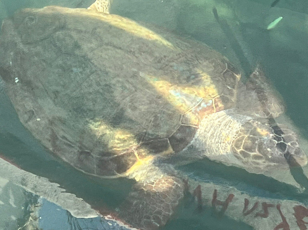 Barbara Ann Apartments主图