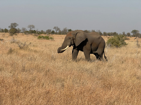 Dongeni Safaris-雾观必去景点