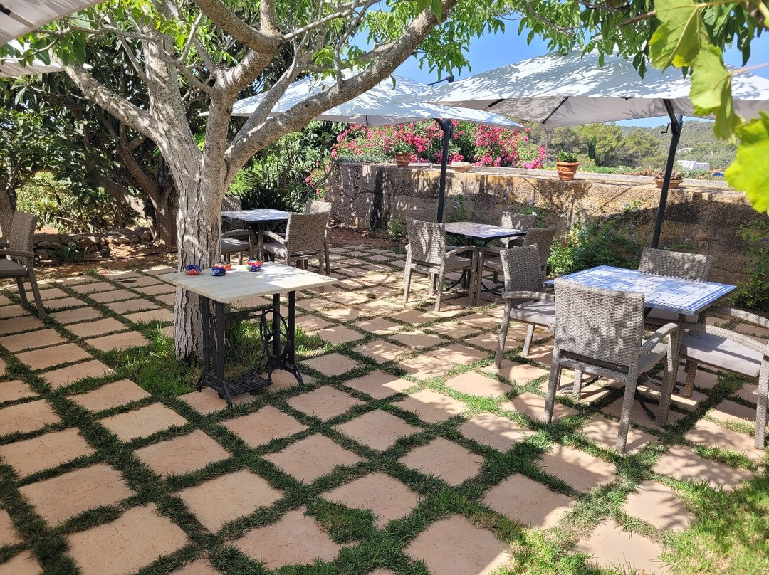 Agroturismo Can Planells主图