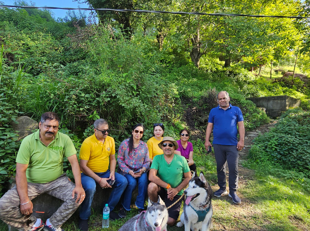 Vatsyayana Resorts主图