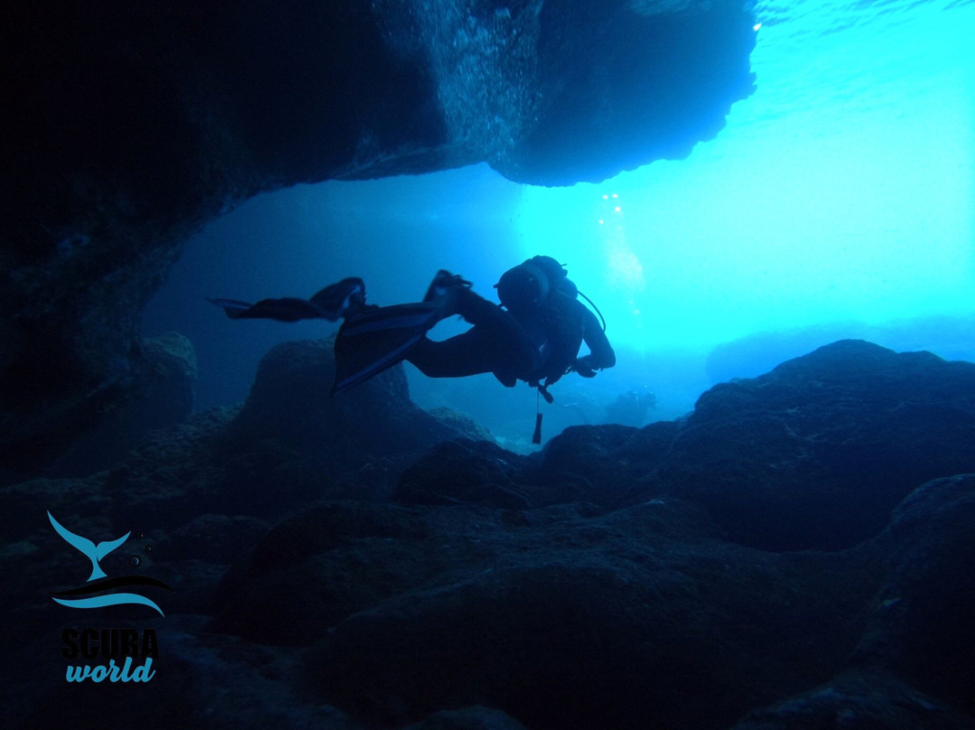 Scuba World Diving Center景点图片