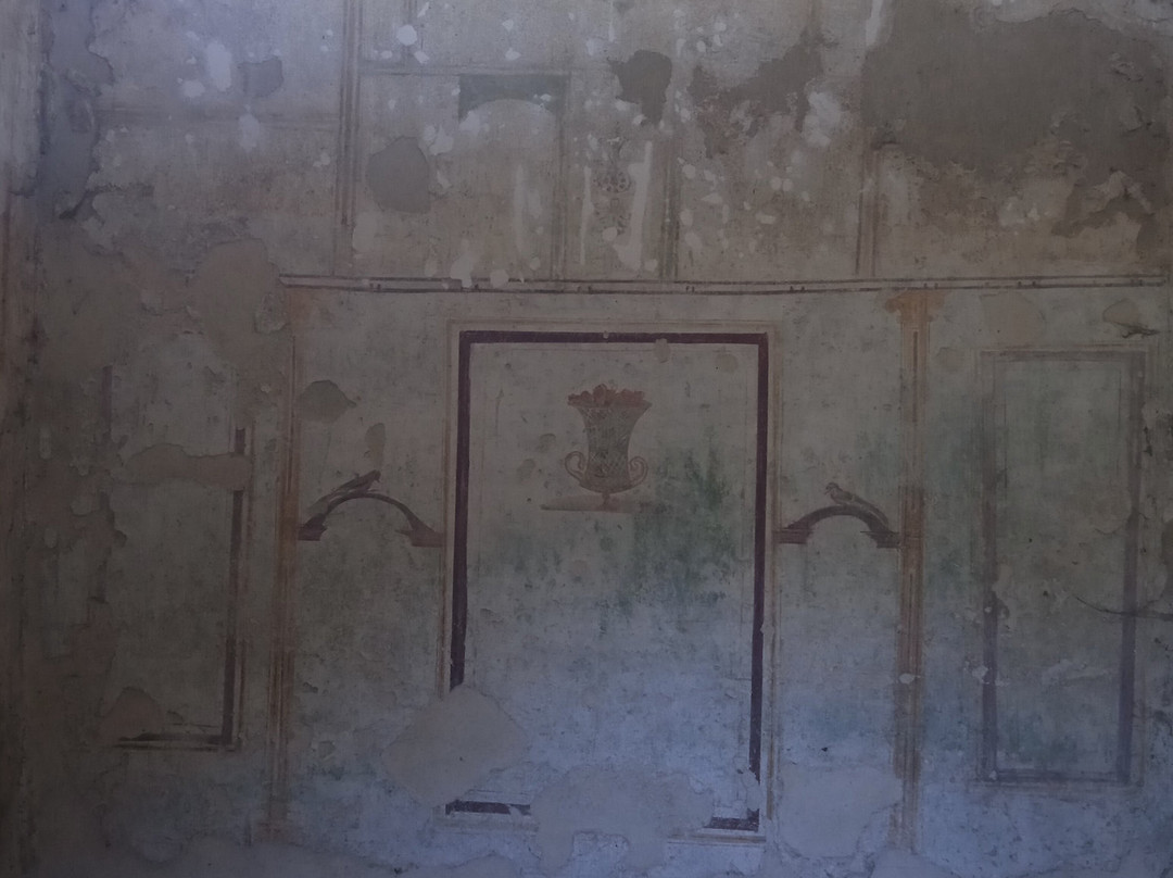 Area Archeologica di Poggio Moscini景点图片