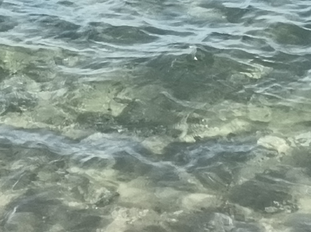 Punta delle Formiche景点图片