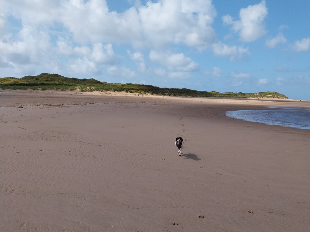 Roanhead Beach景点图片