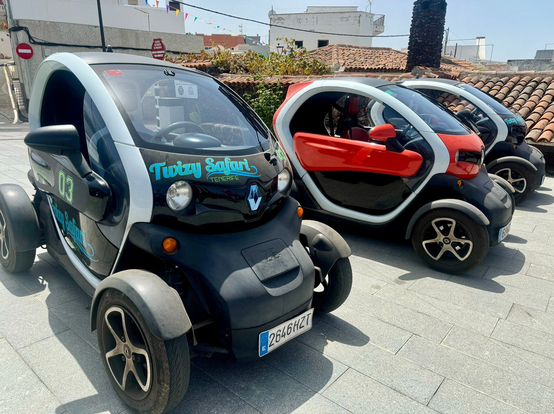 Twizy Safari景点图片