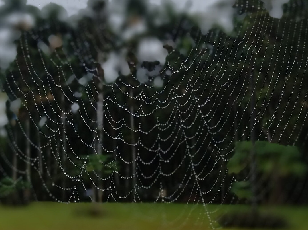 Espaço Ecológico João Mineiro