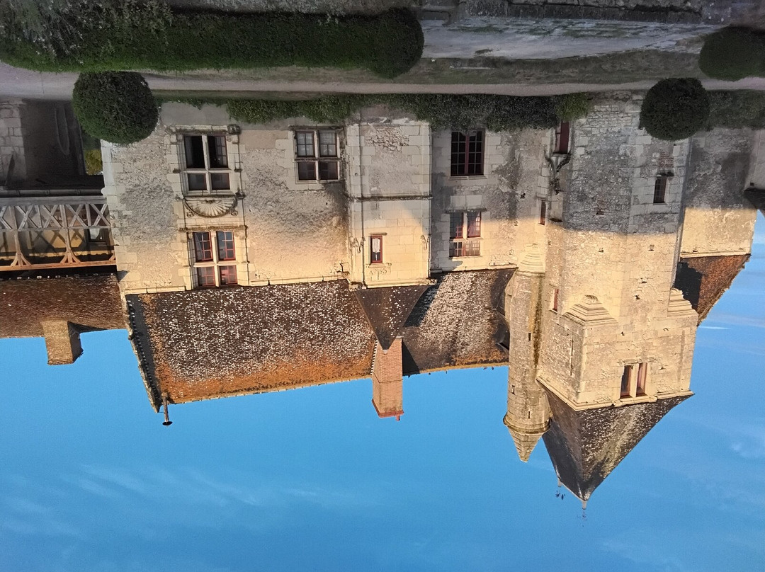 Château de Chémery景点图片