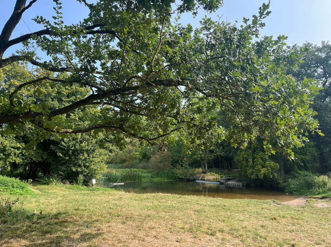 Knettishall Heath-迪斯必去景点