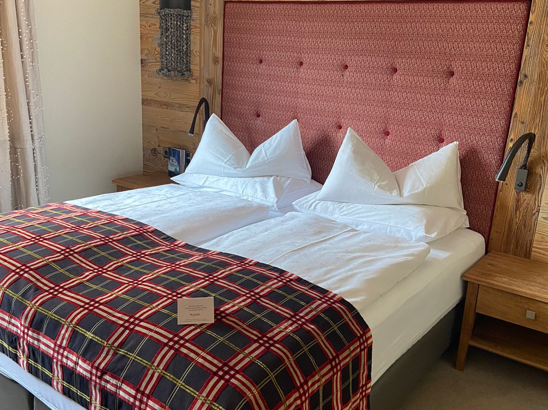 图克塞尔霍夫阿尔卑斯温泉酒店主图