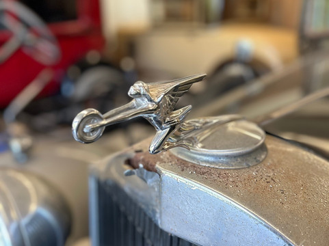 Ktchikan Photo Safari-凯奇坎必去景点