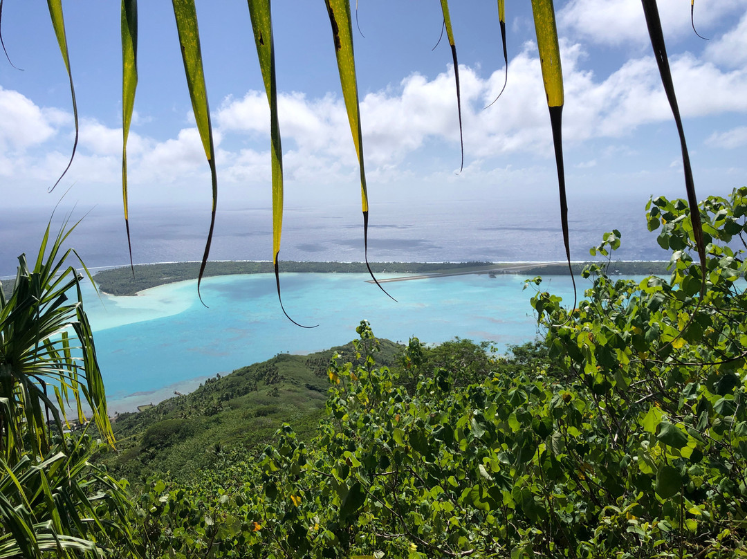 Pension Tereia主图