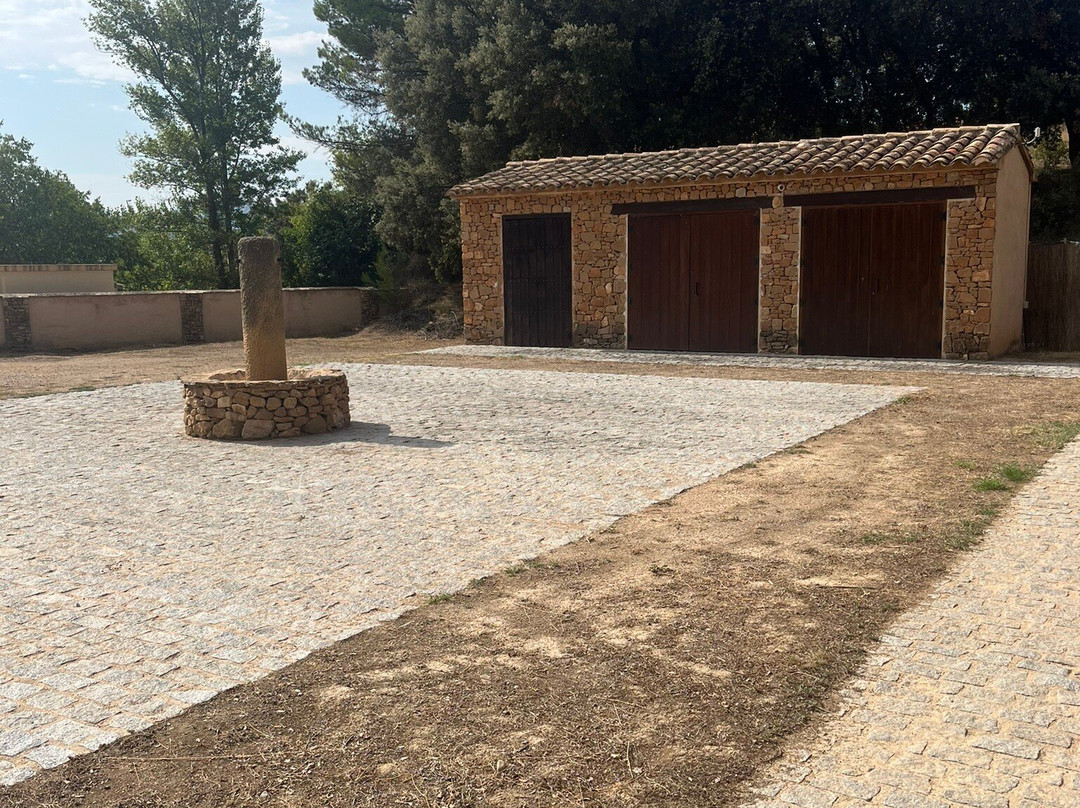 Mas de Llucia Wine Estate景点图片