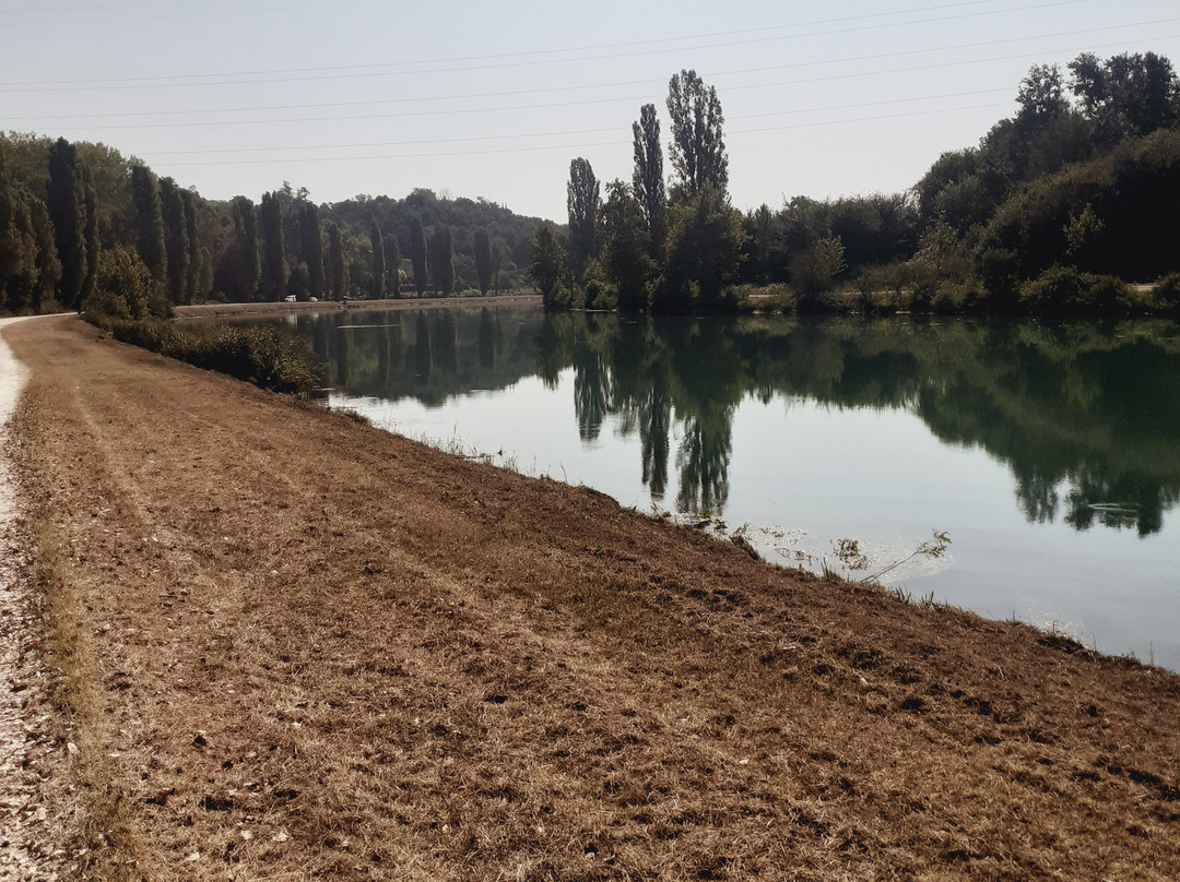 Pista Ciclabile del Fiume Mincio景点图片