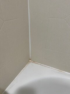 Best Western Carlisle主图