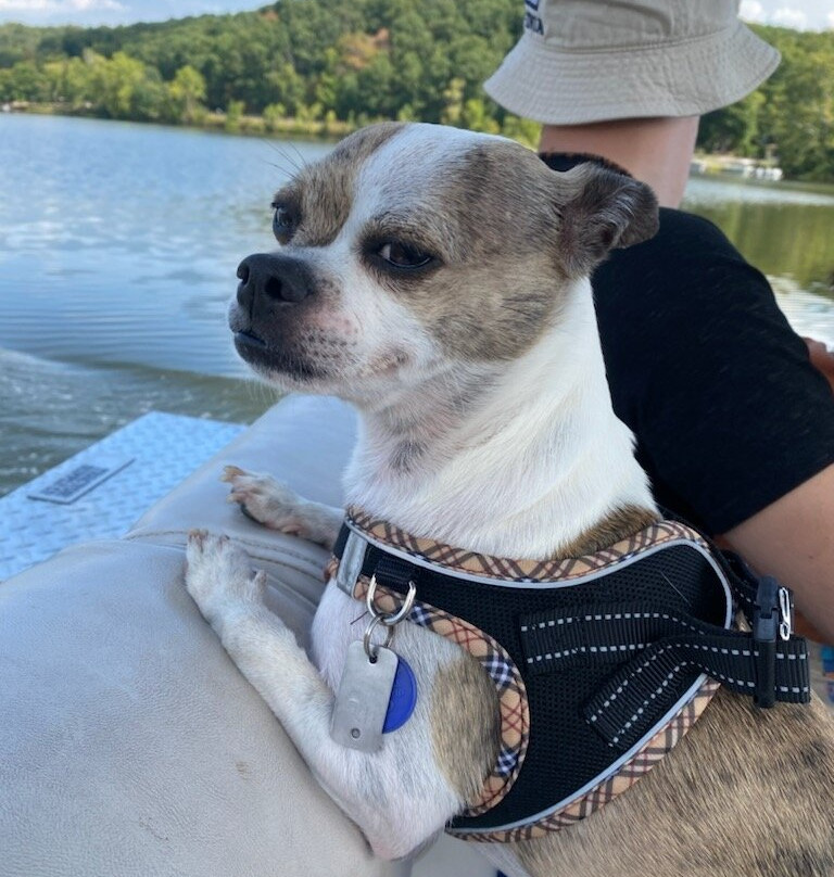 Lake Logan Marina-洛根必去景点