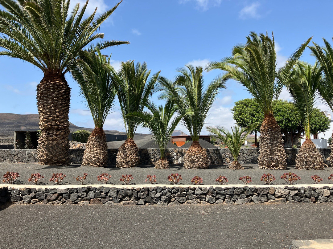 Bodegas Los Bermejos-San Bartolome必去景点