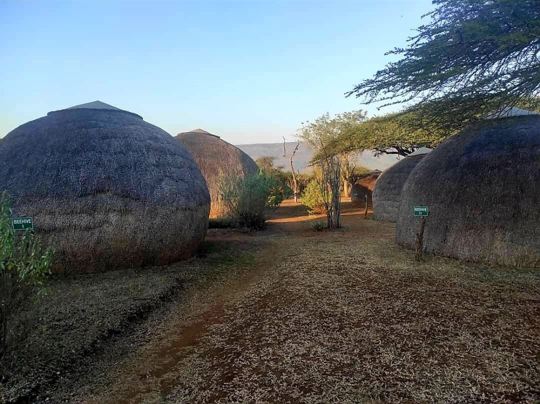 Kamsholo Bushveld Safaris主图