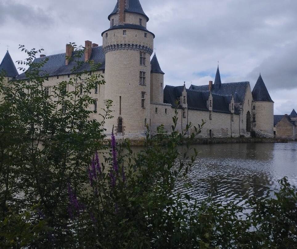 Chateau du Plessis-Bourré景点图片