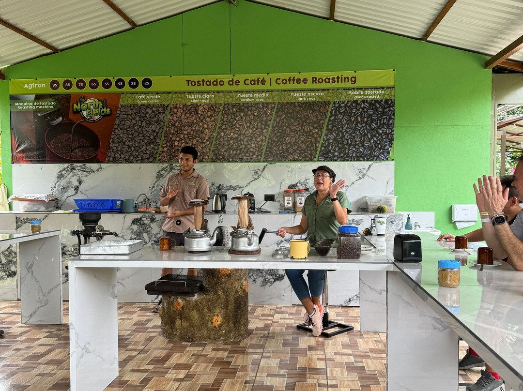 North Fields Coffee And Chocolate Tours景点图片