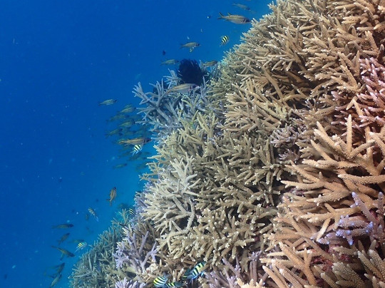 Yabiji Marineheart Miyakojima-Miyako-jima必去景点