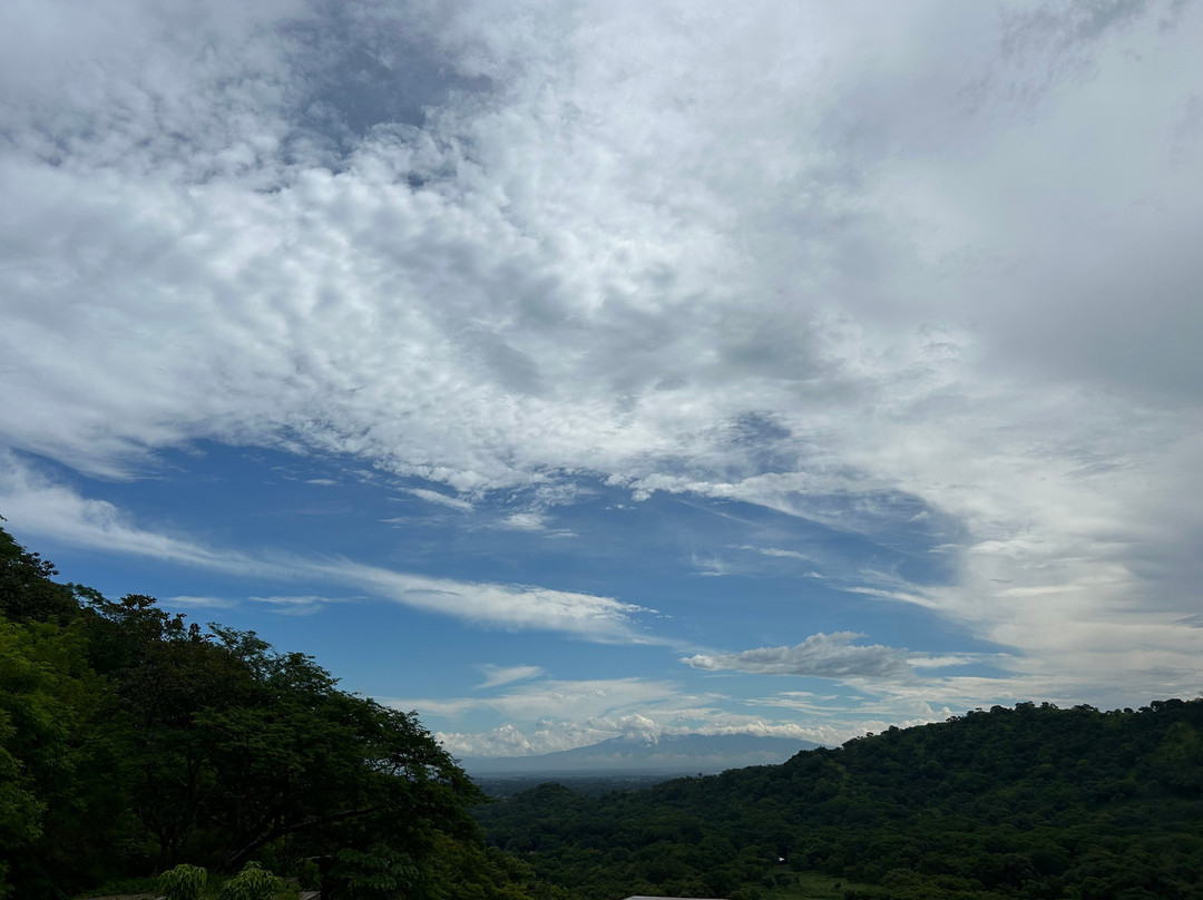 Suitree Experience Hotel Costa Rica主图