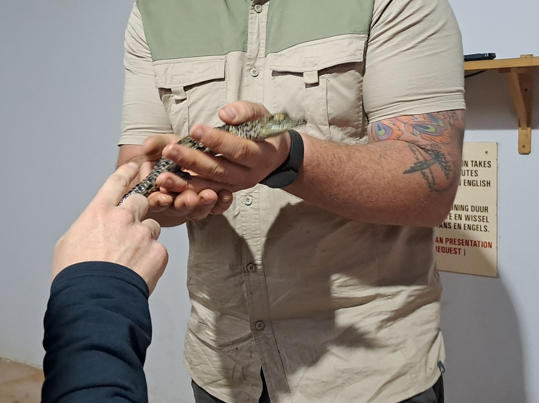 Riverbend Crocodile Farm-南帚必去景点