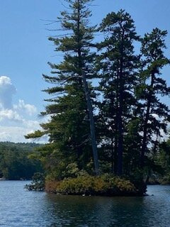 Pine River Pond景点图片