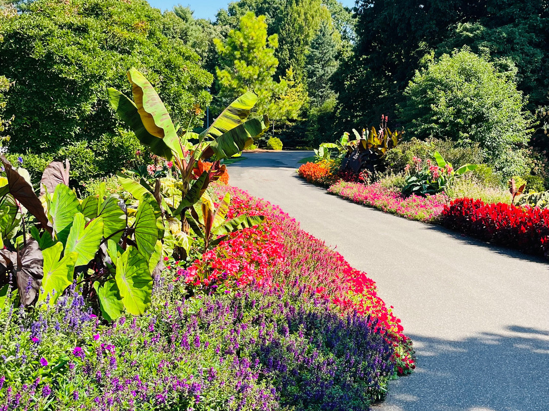 Clark Botanic Garden-Albertson必去景点