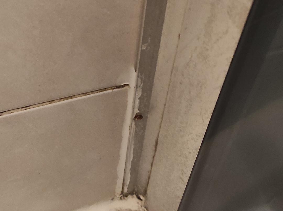 Hotel Magnat Spa Grzybowo主图