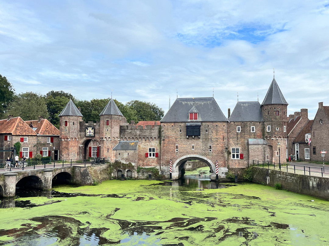 Holland Bike Tours景点图片