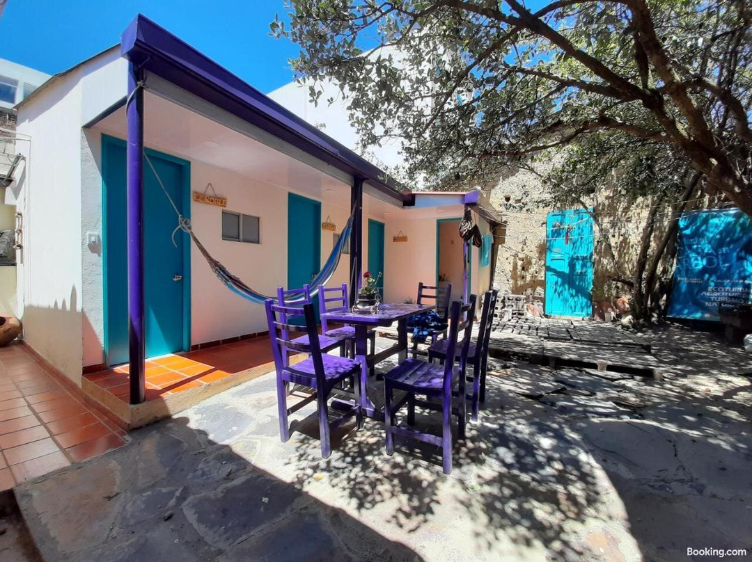 Hostel Casa Del Arbol