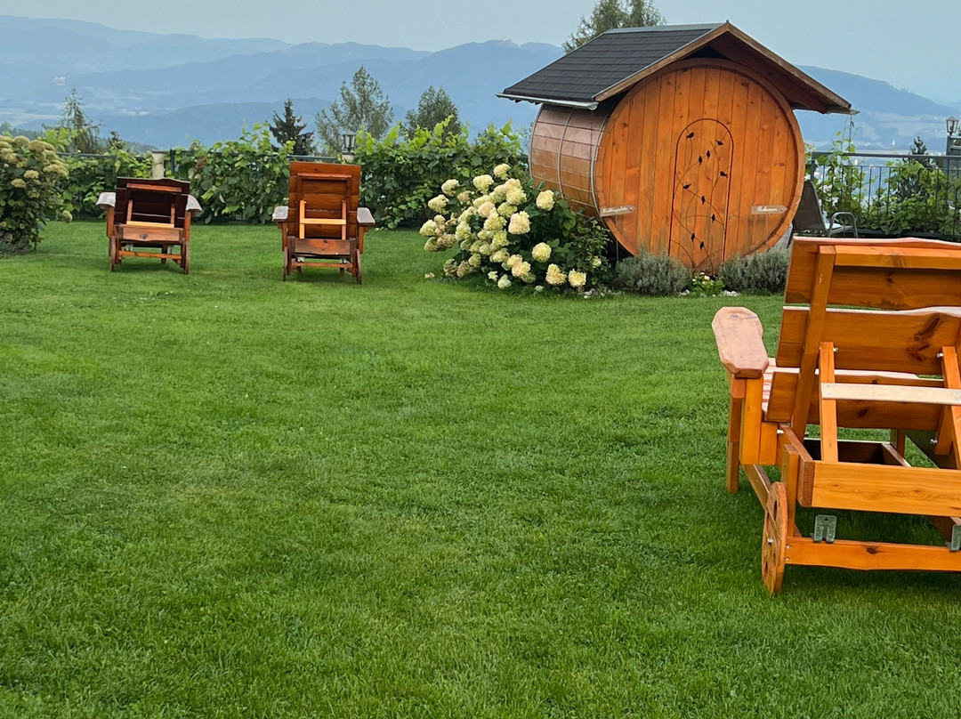 Erlebnisbauernhof Steinerhof In Kärnten主图