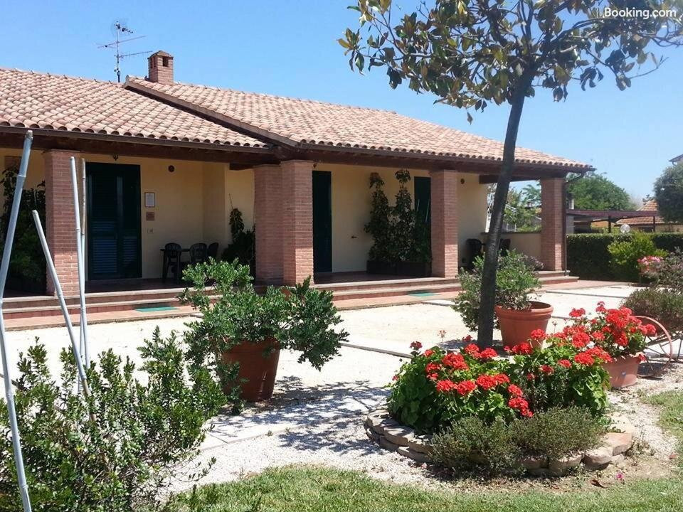 Agriturismo Corte Degli Angeli主图