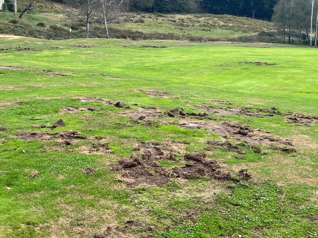 Iles des Borromees Golf Club景点图片