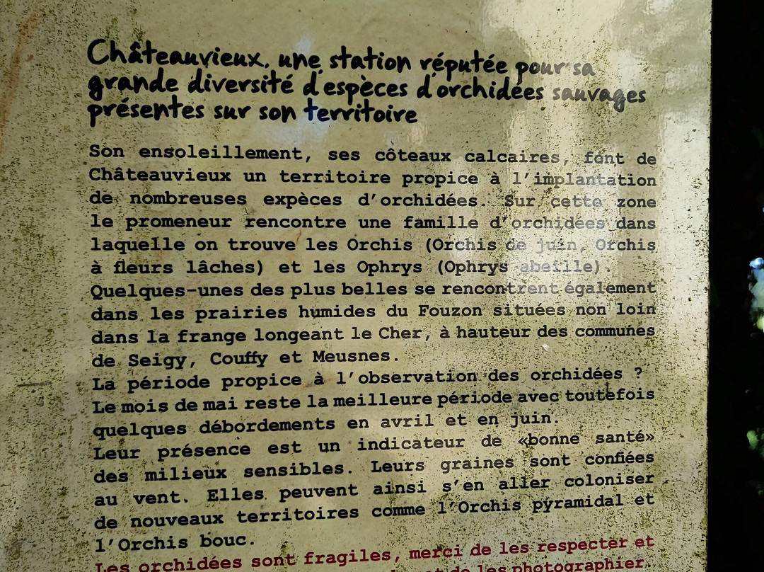 Église Saint-hilaire De Châteauvieux景点图片