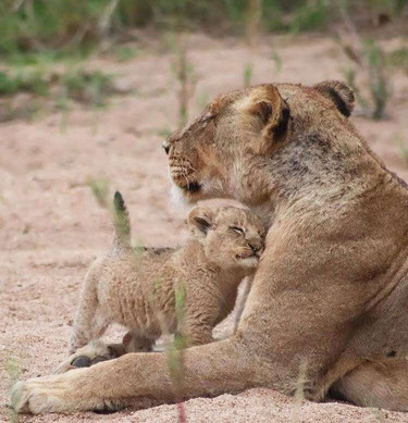 Ross Willows, Bespoke Travel-德班必去景点