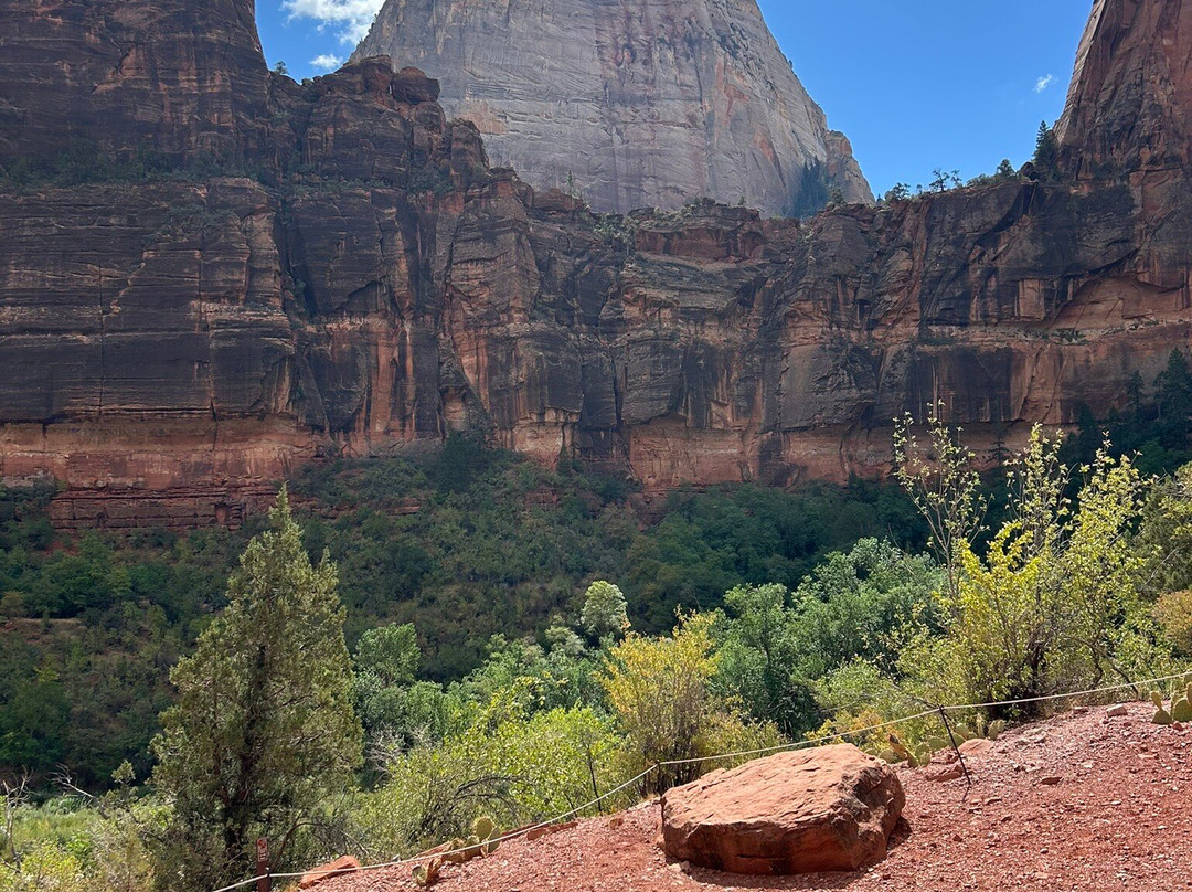 Many Pools Trail-锡安国家公园必去景点