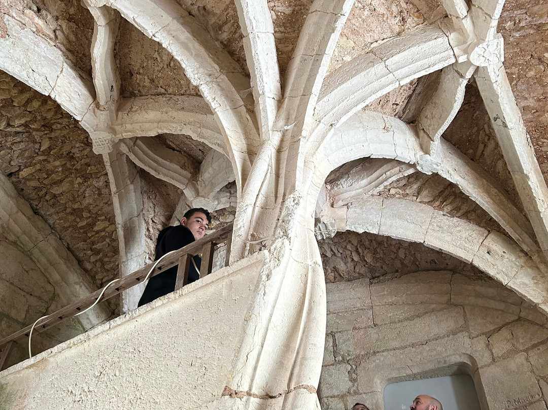 Château de l'Herm景点图片