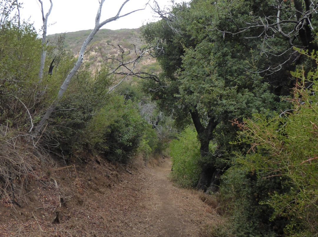 Zuma and Trancas Canyons-马里布必去景点