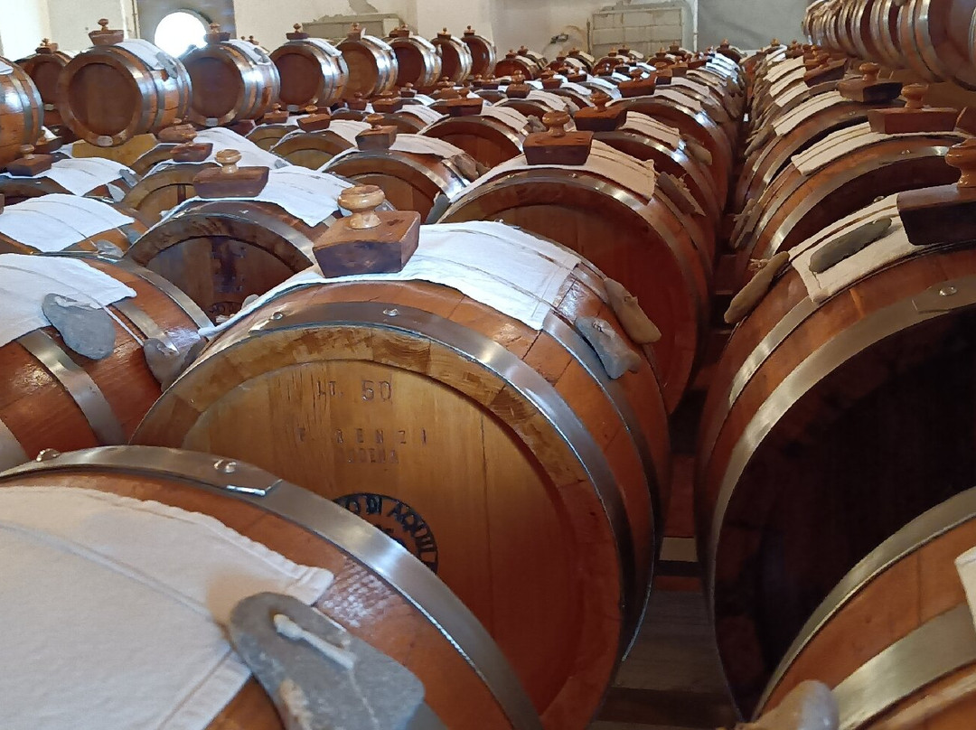 Acetaia Midolini-Manzano必去景点