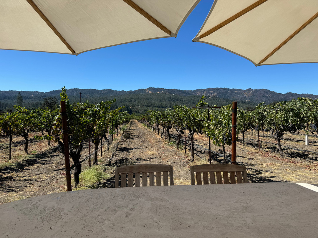 Corison Winery景点图片