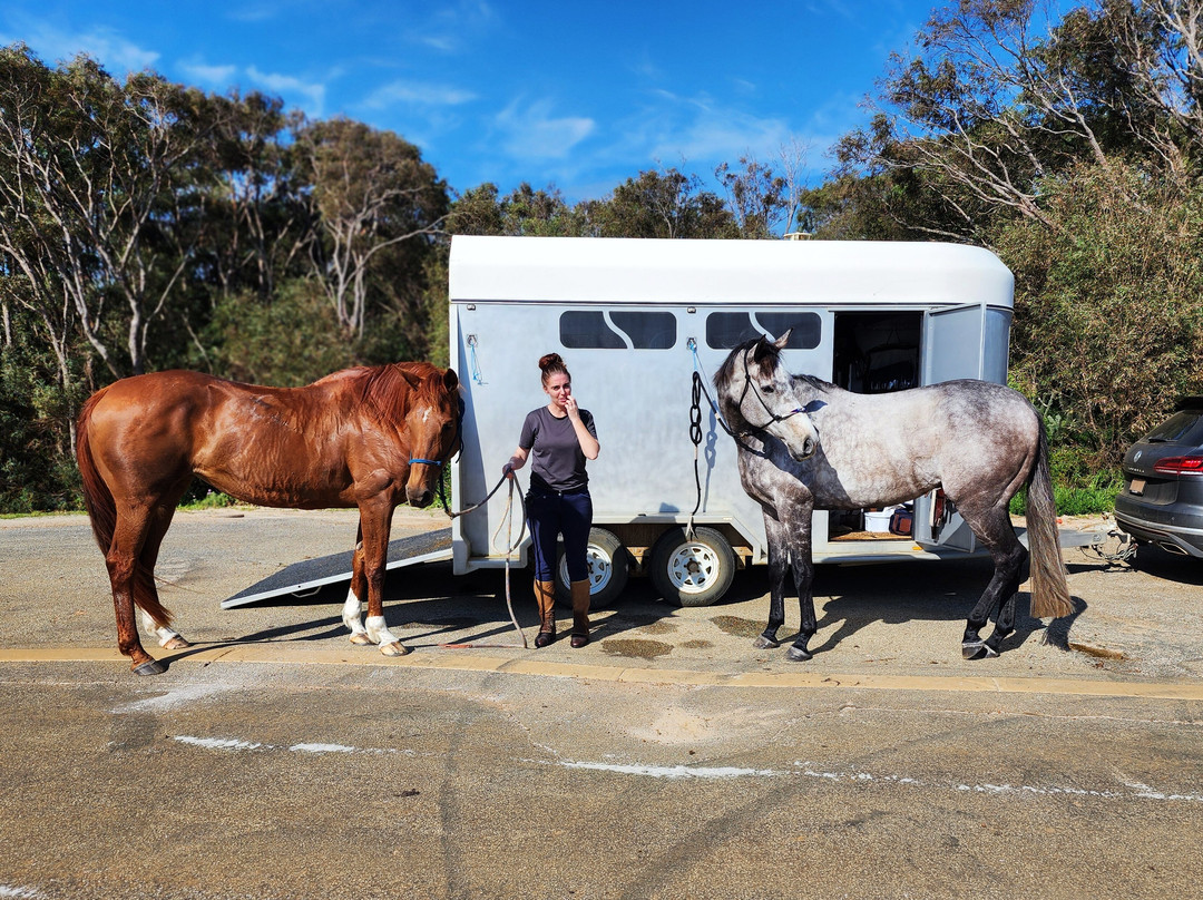 Muttonbird Beach and Shelter Island-奥尔巴尼必去景点