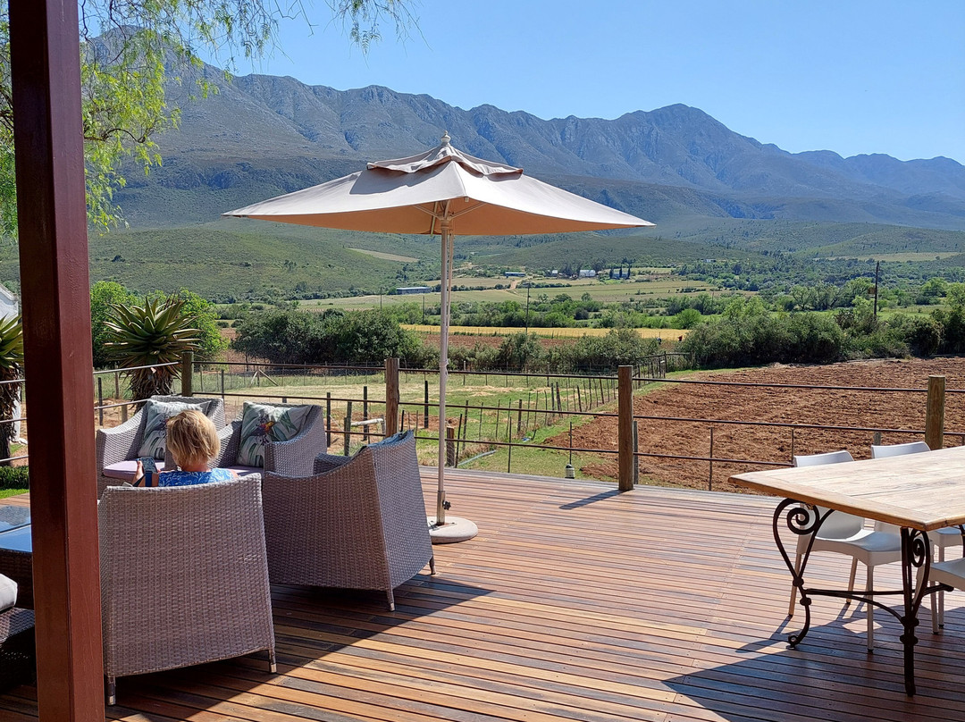 Swartberg Country Manor主图