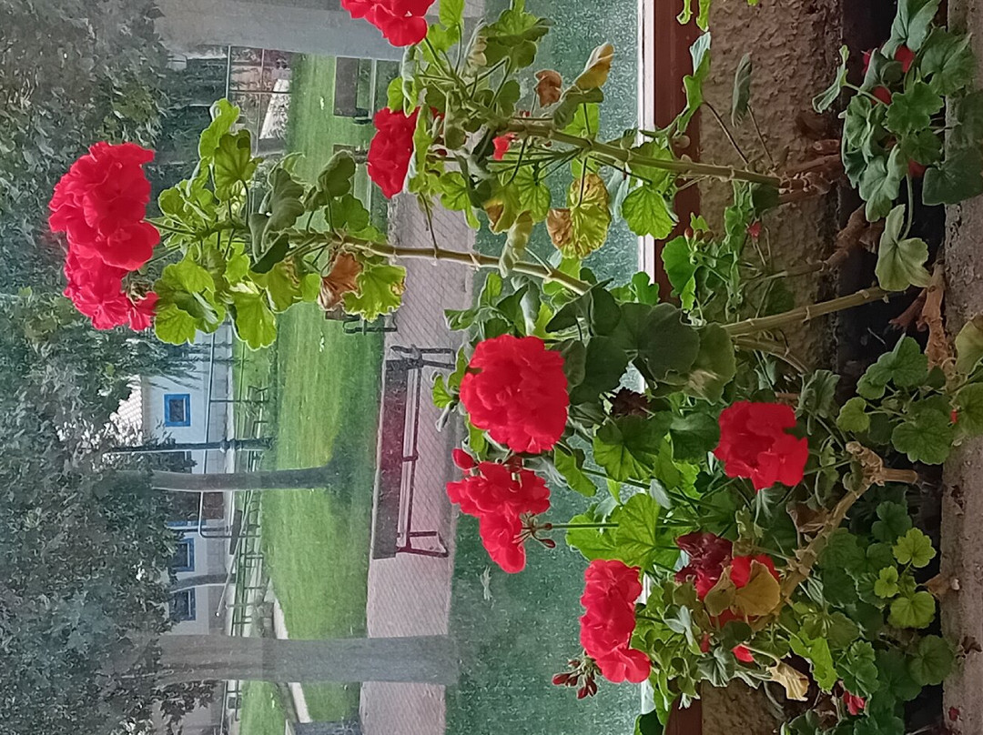 Balneario La Concepción主图