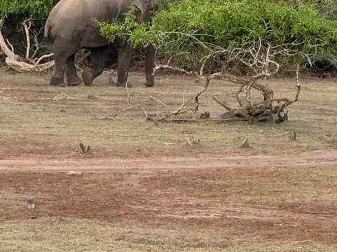YALA TAXI SERVICE-蒂瑟默哈拉默必去景点