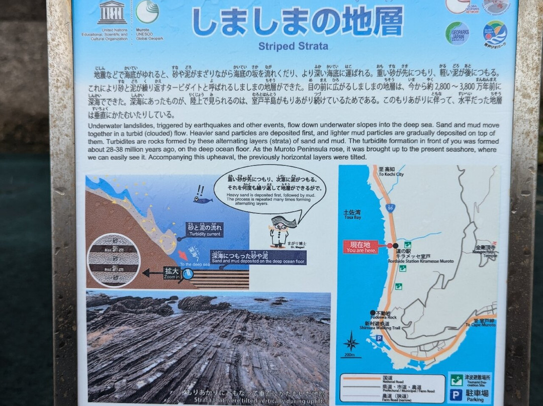 Whale Museum-室户市必去景点