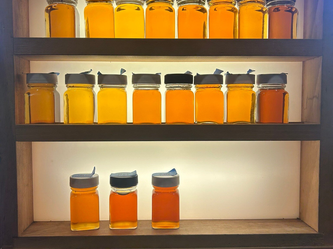 Nebraska Knoll Sugar Farm-斯托必去景点