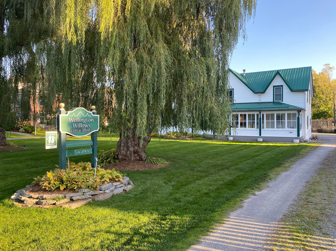 Wellington Willows Boutique B&B主图